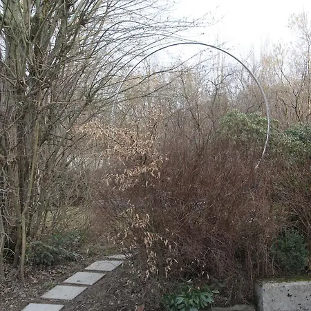 Am Ring - Ruhiges Im Gruenen, Fruehstueck Auf Eigener Terrasse Mit Morgensonne Und Fusslaeufig Zum Badeplatz Schwarzindien Am Mondsee