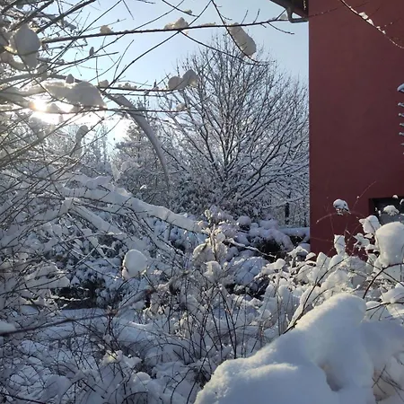 Am Ring - Ruhiges Im Gruenen, Fruehstueck Auf Eigener Terrasse Mit Morgensonne Und Fusslaeufig Zum Badeplatz Schwarzindien Am Mondsee 民宿 *