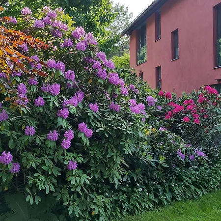Am Ring - Ruhiges Im Gruenen, Fruehstueck Auf Eigener Terrasse Mit Morgensonne Und Fusslaeufig Zum Badeplatz Schwarzindien Am Mondsee Sankt Lorenz (Vocklabruck)