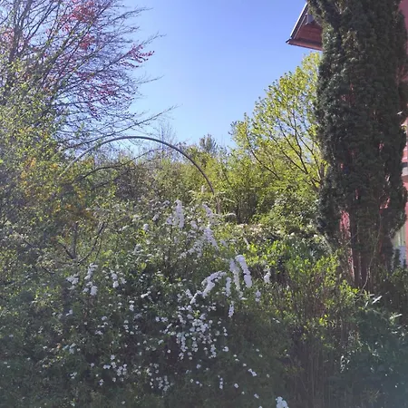 Rum i privatbostad Am Ring - Ruhiges Im Gruenen, Fruehstueck Auf Eigener Terrasse Mit Morgensonne Und Fusslaeufig Zum Badeplatz Schwarzindien Am Mondsee