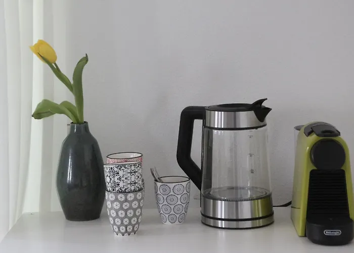 Am Ring - Ruhiges Im Gruenen, Fruehstueck Auf Eigener Terrasse Mit Morgensonne Und Fusslaeufig Zum Badeplatz Schwarzindien Am Mondsee Séjour chez l'habitant