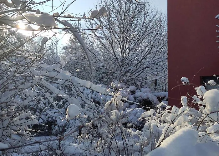 Am Ring - Ruhiges Im Gruenen, Fruehstueck Auf Eigener Terrasse Mit Morgensonne Und Fusslaeufig Zum Badeplatz Schwarzindien Am Mondsee 民宿 *