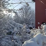 Am Ring - Ruhiges Im Gruenen, Fruehstueck Auf Eigener Terrasse Mit Morgensonne Und Fusslaeufig Zum Badeplatz Schwarzindien Am Mondsee בית אירוח *